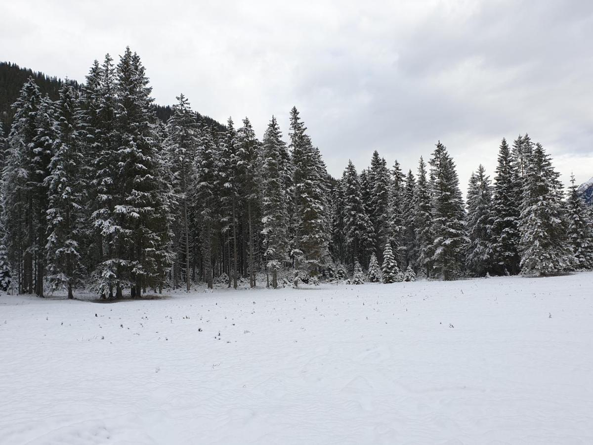 Ammerwald Alm Plansee Exterior photo