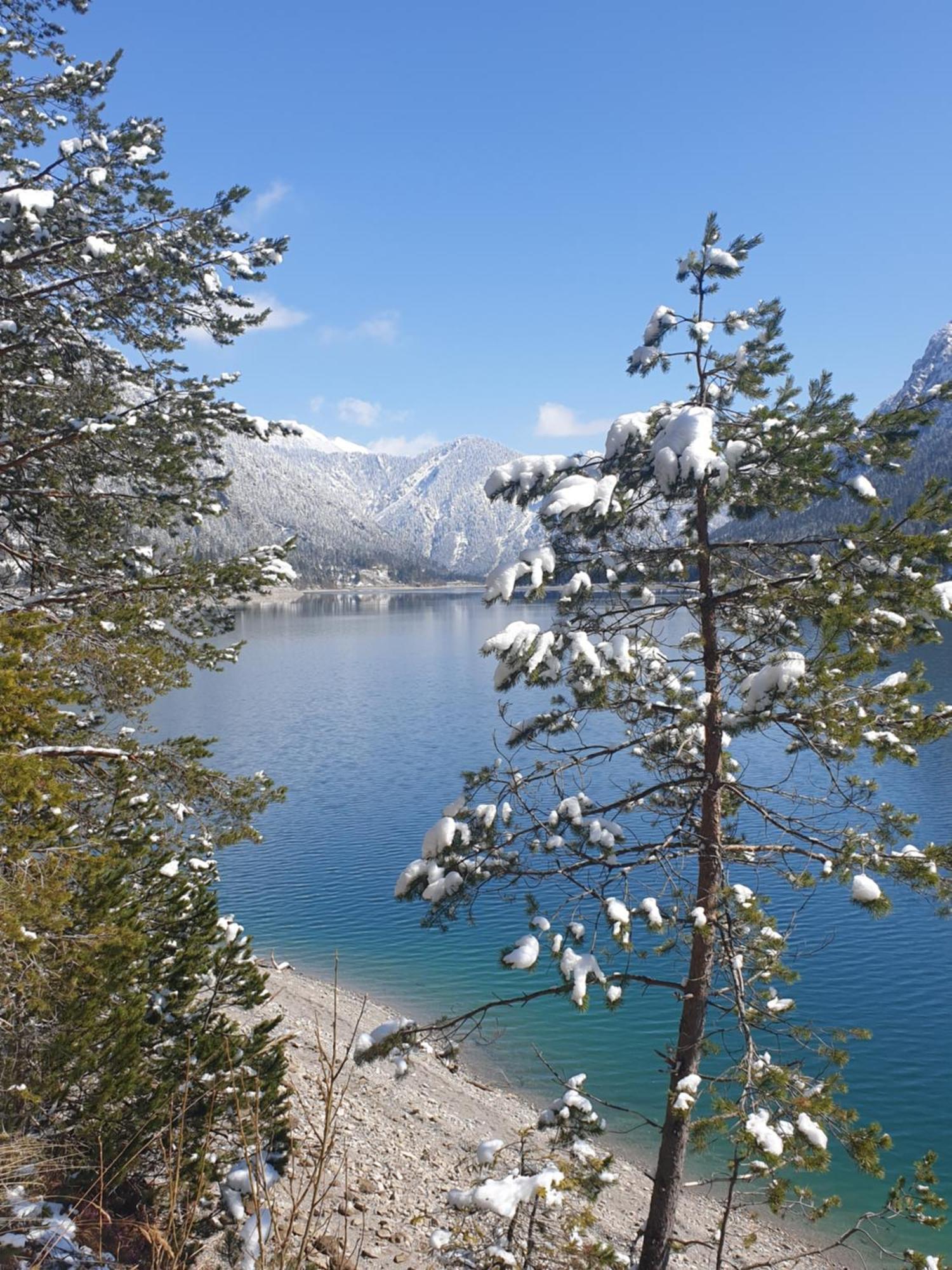 Ammerwald Alm Plansee Exterior photo